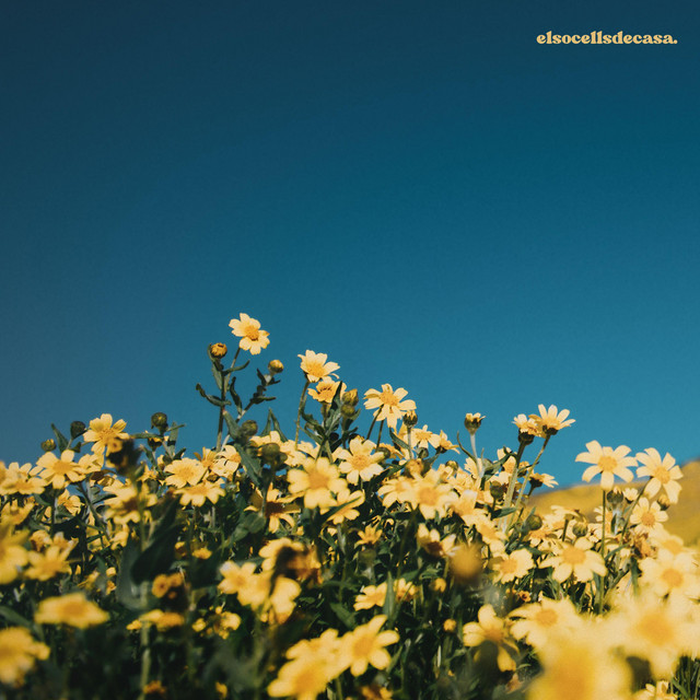 ELS OCELLS DE CASA cover art