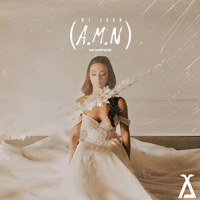 A.M.N cover art
