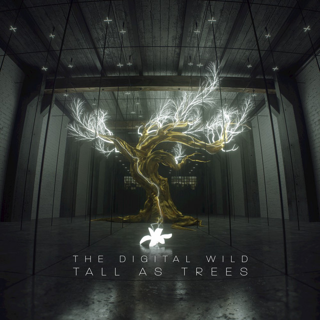 Tall as Trees - EP cover
