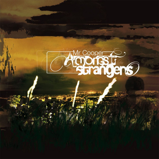 Amongst Strangers (Vinyl Version) cover art