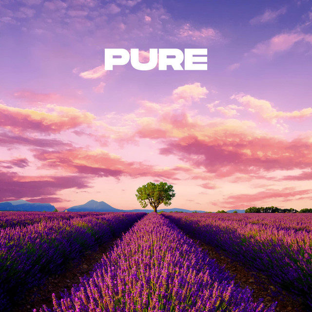 Pure - Single by Oskar Ackerberg | Spotify