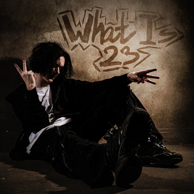 What Is 23? cover art