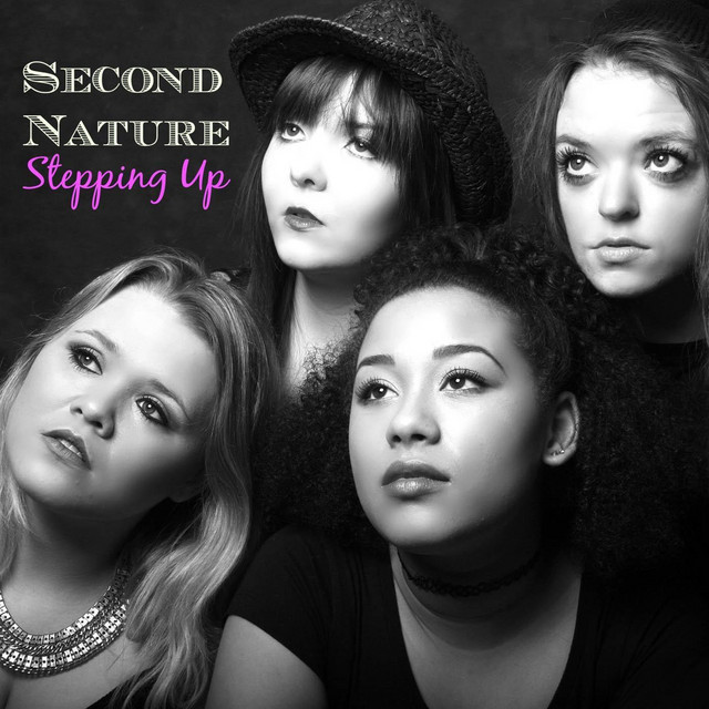 Stepping Up cover