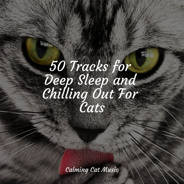 50 Tracks for Deep Sleep and Chilling Out For Cats - Album by Music for ...
