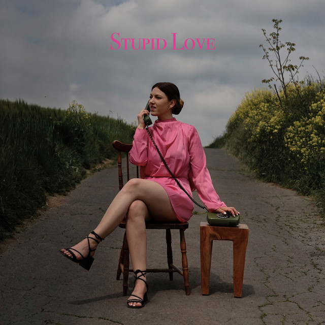 Stupid Love cover art