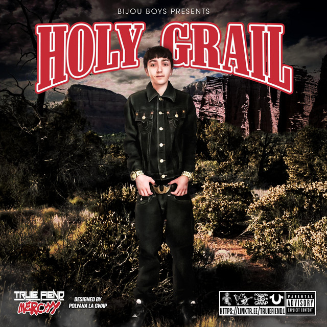 holy grail cover art