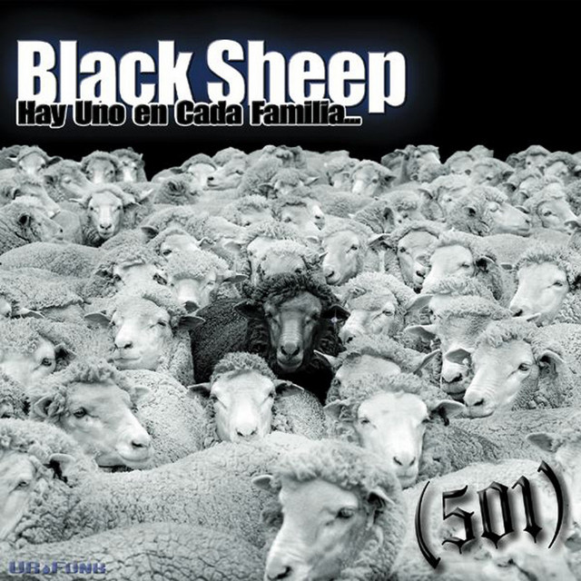 Black Sheep cover art