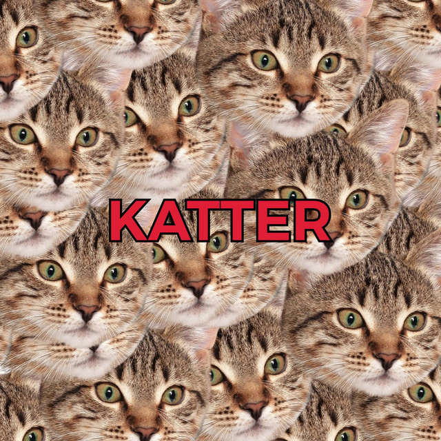 Katter cover art