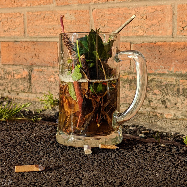 Pint O' Chown cover art
