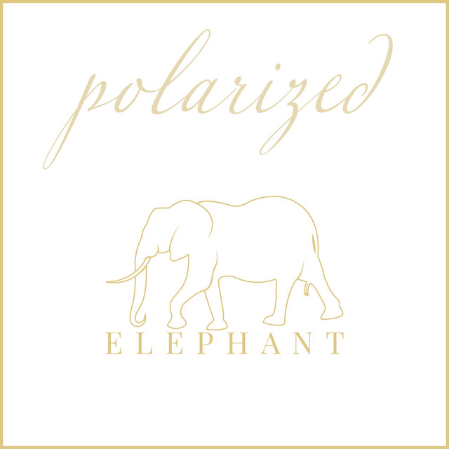 Elephant cover