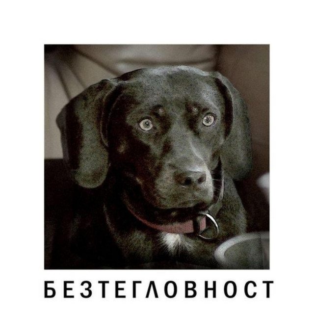 Bezteglovnost cover
