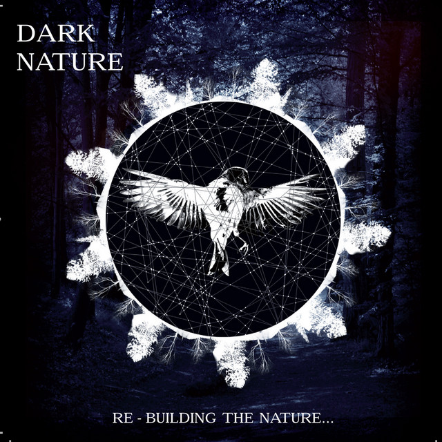 Vanity Rain - song and lyrics by Dark Nature | Spotify