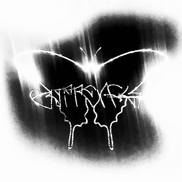 Butterfly cover