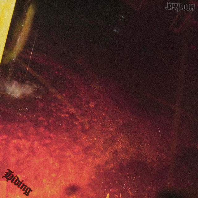 Hiding cover art