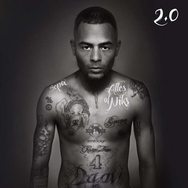 Alles of Niks 2.0 cover art
