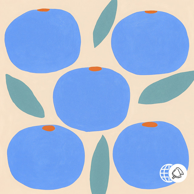 Blueberries