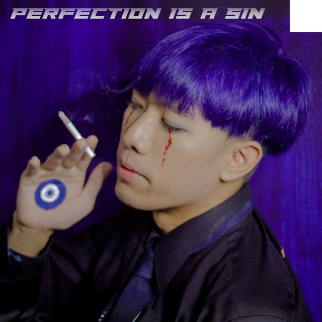 PERFECTION IS A SIN cover art