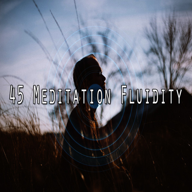 45 Meditation Fluidity - Album by Yoga | Spotify