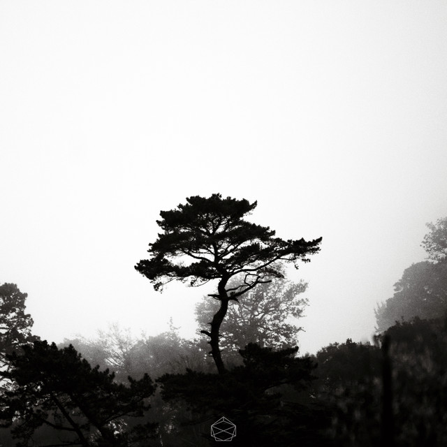Who's There? cover art