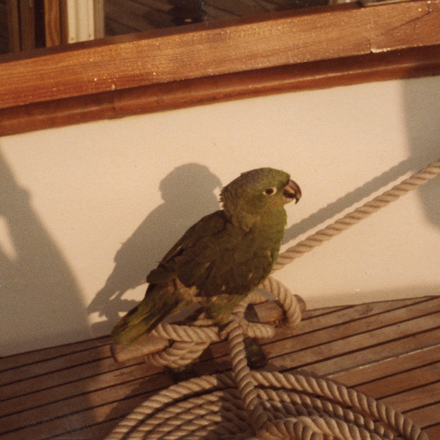 Bimini Photo