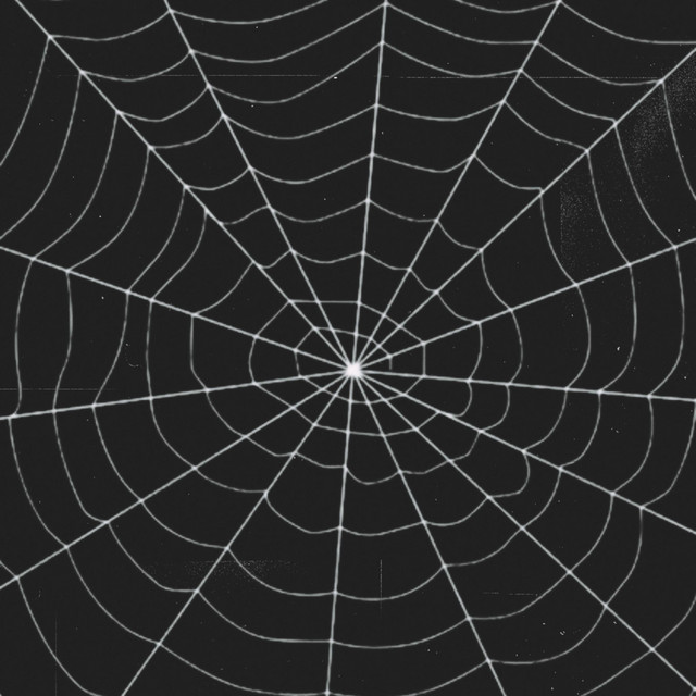 Album cover for web by <3'sfrmafghanistan