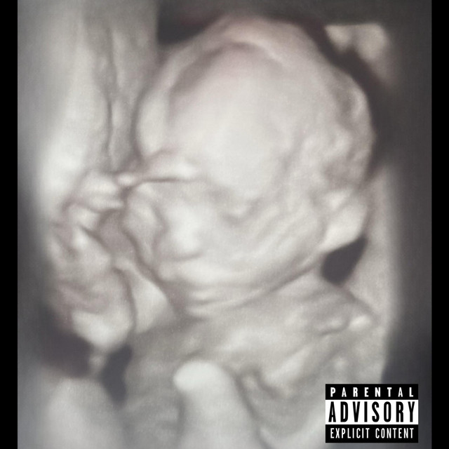 Damn My Nut Work 2 cover art