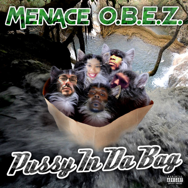 Pussy in da Bag cover art