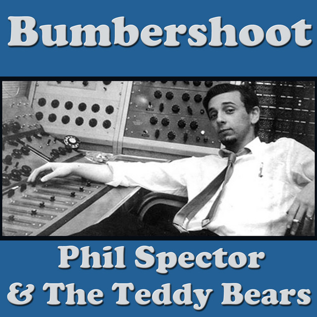 Bumbershoot cover