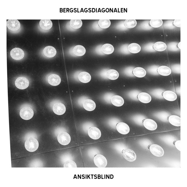Ansiktsblind