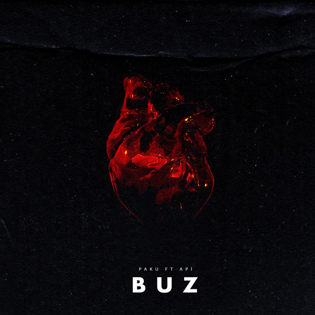 BUZ - Single by Paku | Spotify