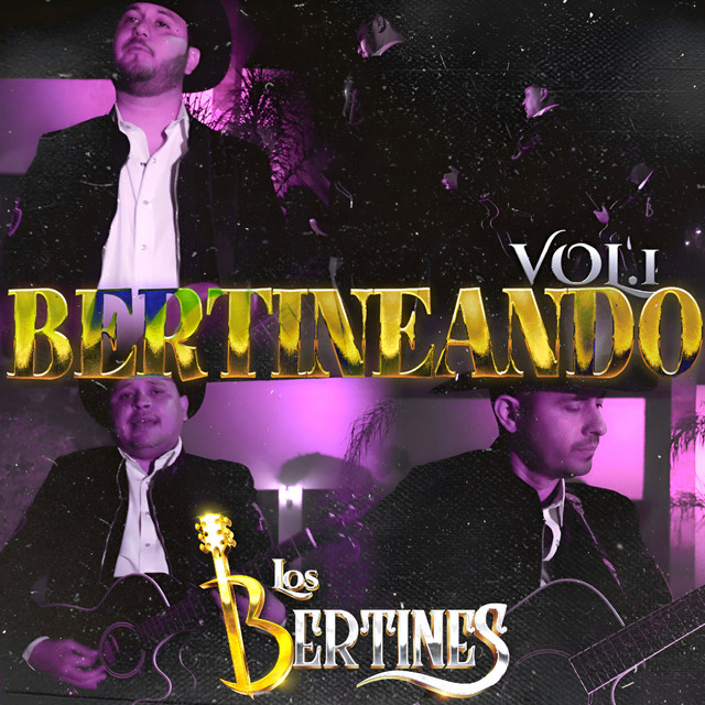 Bertineando, Vol. 1 cover art