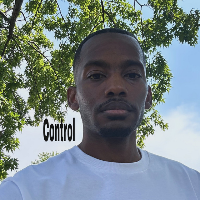 Control cover art