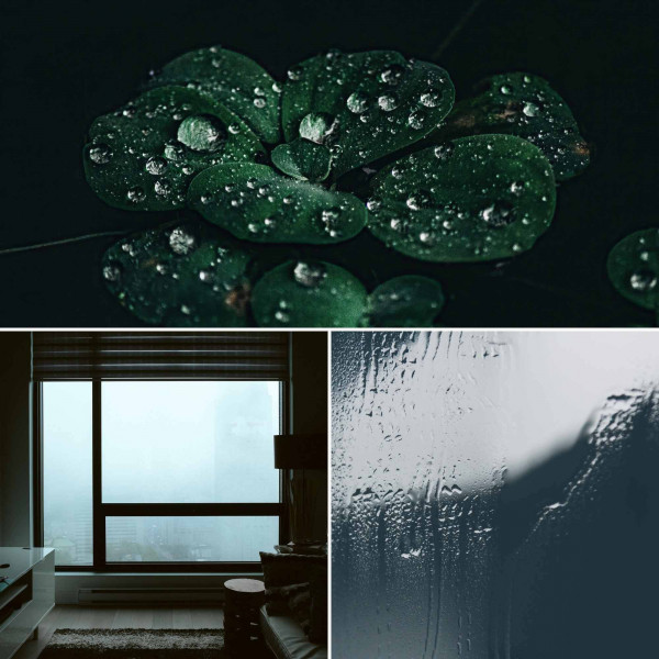 Alluring Lo-fi - Background for Lazy Days at Home cover art