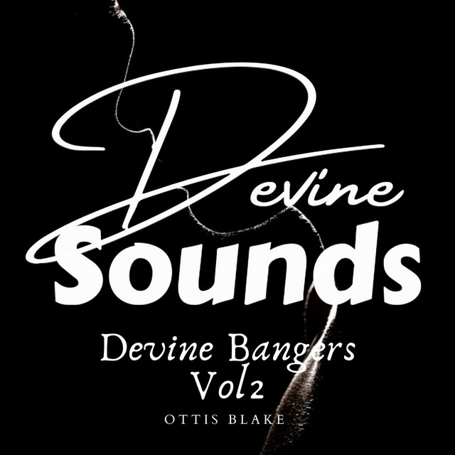 Devine Sounds Vol 2 cover art