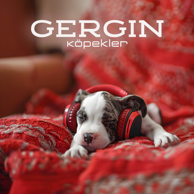 Gergin Köpekler: Yavru Köpeklerinizi Sakinleştirmek için Rahatlatıcı Terapi Müziği cover art