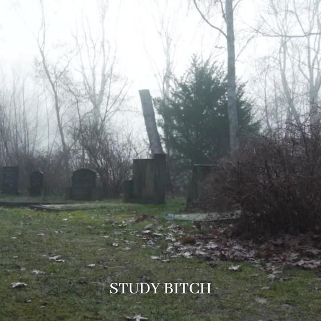 Study Bitch cover art