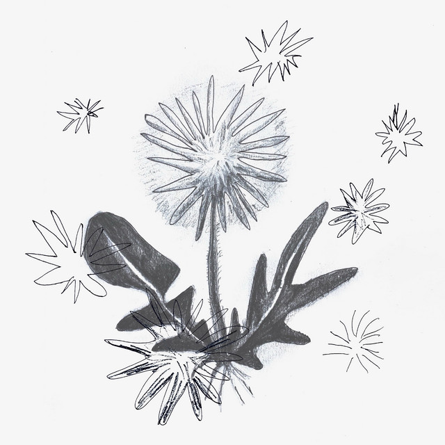 Little Dandelion cover art