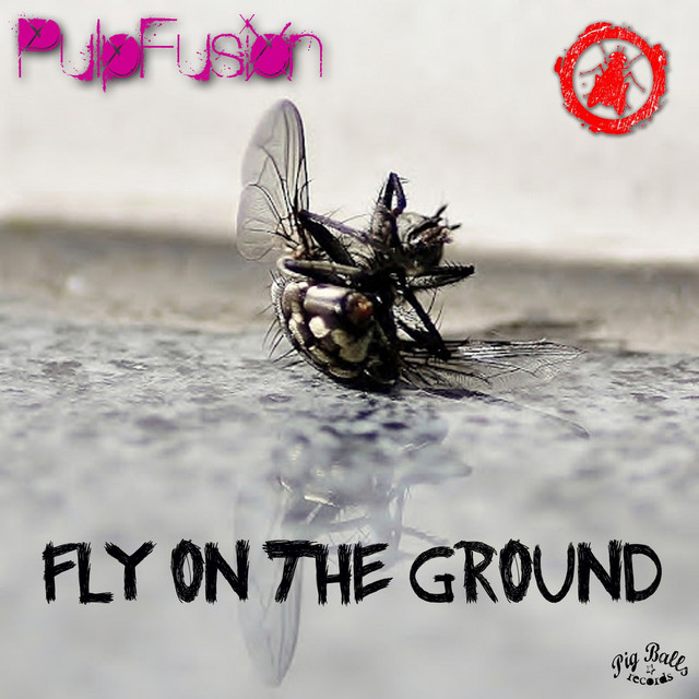 Fly on the Ground cover art