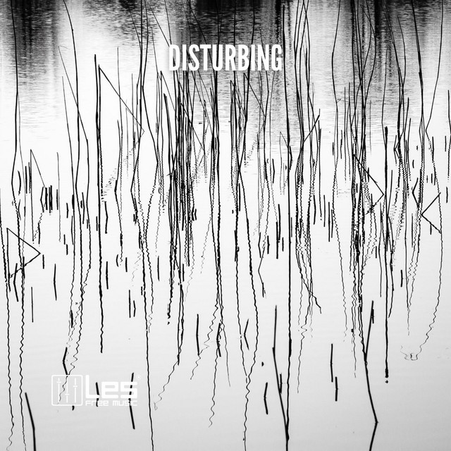 Обкладинка: Disturbing — Lesfm