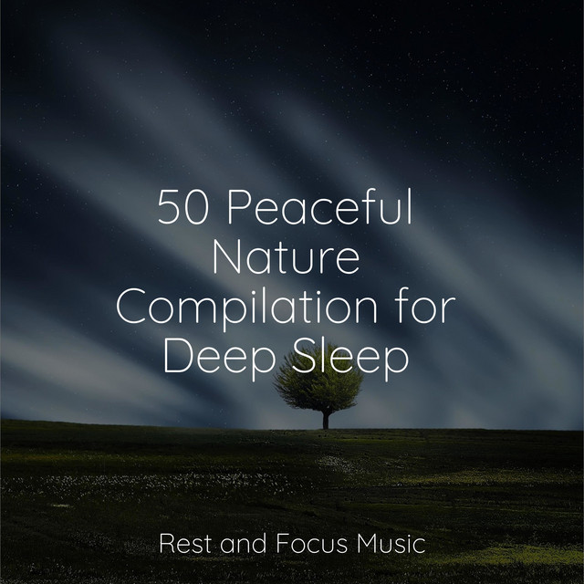 50 Peaceful Nature Compilation for Deep Sleep - Album by Yoga Namaste ...
