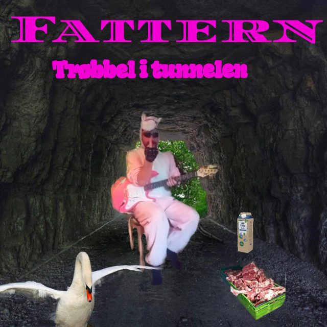 Trøbbel i tunnelen cover art