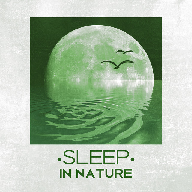 The Slow Fade in Environment cover art
