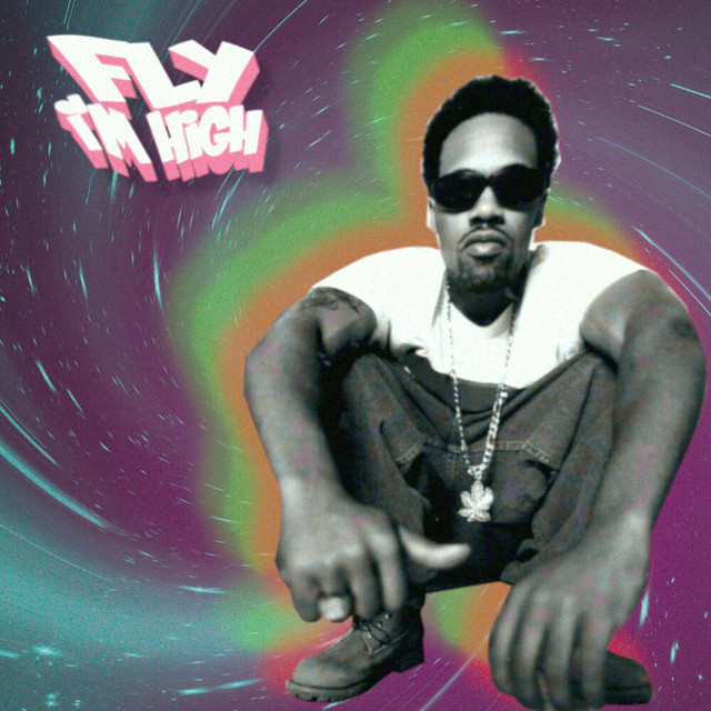Fly, i'm high