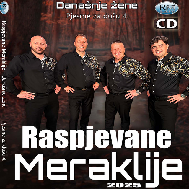 Pjesme za dušu 4 album image