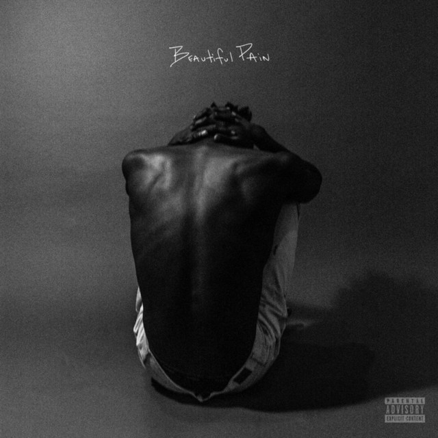Beautiful Pain cover art