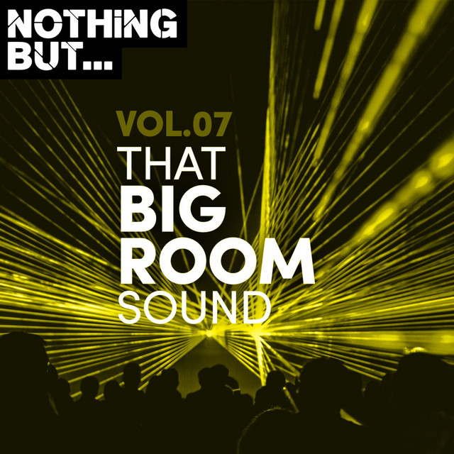 Nothing But... That Big Room Sound, Vol. 07 cover art