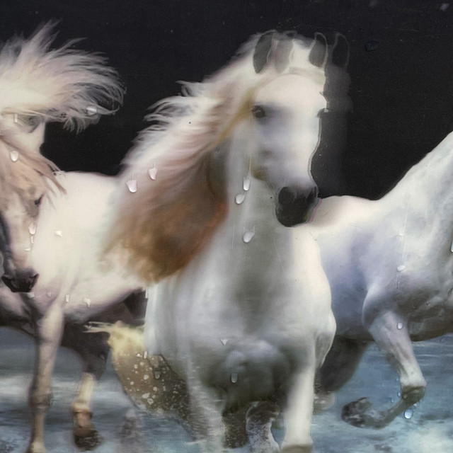Riding Thru/Dollar Star cover art