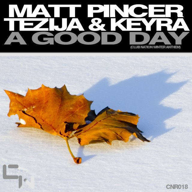 A Good Day - Radio Mix cover art