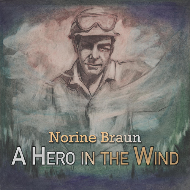 A Hero In The Wind cover
