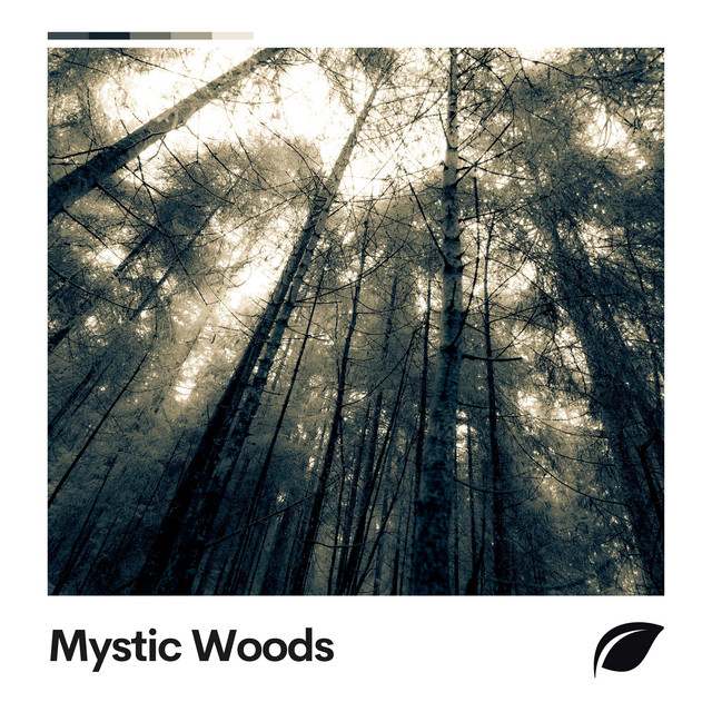 Mystic Woods cover art